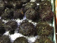 -渔民新村(番禺总店)