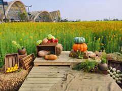 -中国天府农业博览园