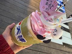 -海河游船-永乐码头(大悲院)