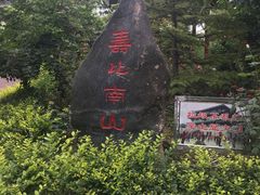 -金城公园