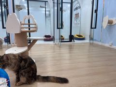 -1013 PET SHOP 宠物商店(近铁城市广场店)