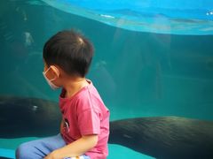 -成都浩海立方海洋公园