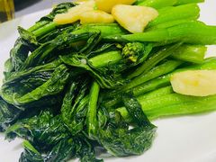 清炒广东菜心-金龙·打边炉(武进路店)