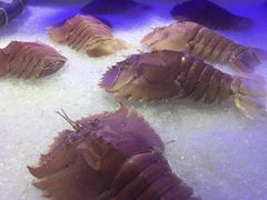 -澜悦港海鲜体验主题餐厅