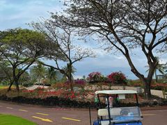 -海南鉴湖蓝湾高尔夫球会