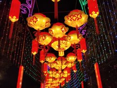 -武汉园博园(武汉自然博物馆)