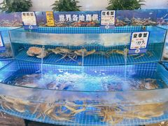 水产区-驻海渔市(置信店)