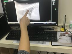 -芭比堂宠物医院·全科爱猫医院·仁德分院