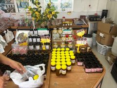 -苏州市吴中区光福窑上花果蜜饯厂