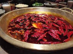 -小龙坎火锅(春熙太古里店)