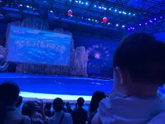 -华夏文旅海洋公园