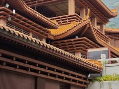 -深圳仙湖植物园