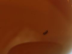 -天兴居(大兴店)