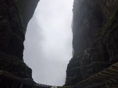 -MAMACHA妈妈茶(岳麓山店)