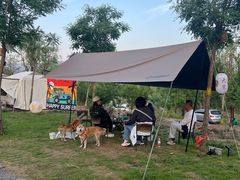 -Walker萌宠露营(大明骑士驿站店)