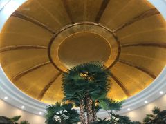 -圣爵菲斯大酒店(长沙世界之窗店)