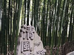 -陈家山荷花公园