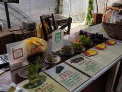 -马陆小张葡萄园农家乐