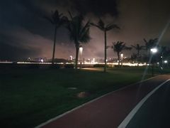 -野狸岛