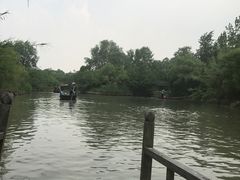 -溱湖国家湿地公园