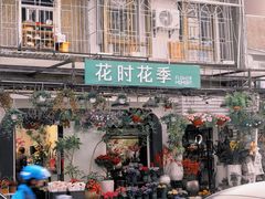 -溪岸路花鸟市场