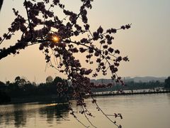 -枫香湖儿童公园