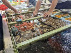 -大湾区中央湿地公园-十九涌