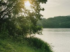 -佛手湖郊野公园