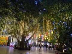 -河内西湖莲花自助餐厅