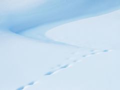 -雪谷
