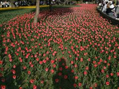 -长春公园(普阳街道)