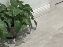 -鲜芋仙(中环百联2店)