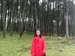 -硗碛藏寨·神木垒景区