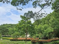 -汤山公园