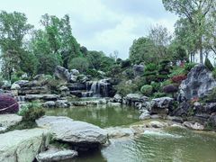 -东莞植物园