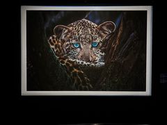 -罗红摄影艺术馆