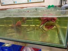 -芽庄老成都川菜馆