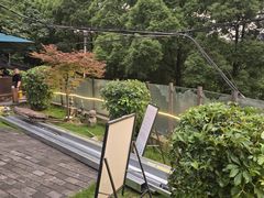 -树厨贵州菜(铜仁花果山店)