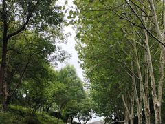 -合肥野生动物园