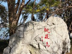 -金鸡湖桃花岛