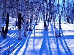 -御道口草原森林风景区-游客咨询处