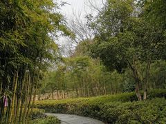 -西溪国家湿地公园