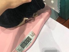 -拜鲁耶动物诊疗中心·宠家动物医院