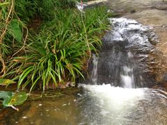 外景-广州市干部健康管理中心