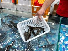 -养牛邓·潮汕牛肉海鲜自助火锅(广州店)