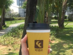 热牛奶-可颂坊(中心书城店)