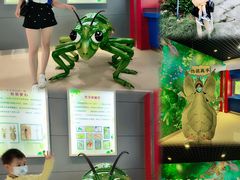 -上海昆虫博物馆