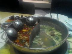 picture-蒙肥羊·酸汤潮牛·鲜牛肉火锅烤肉自助(岗顶店)