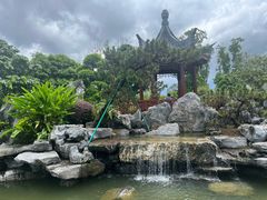 -东莞植物园