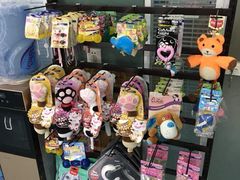 -瑞派长江宠物医院·猫科·外科·24小时夜护(谊城公寓分院)